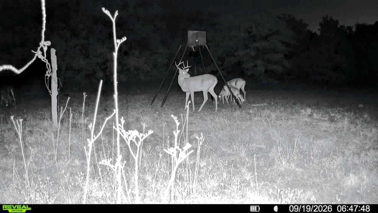 35.88 acres in Jones County - photo 7