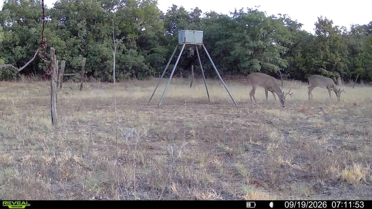 35.88 acres in Jones County - photo 11