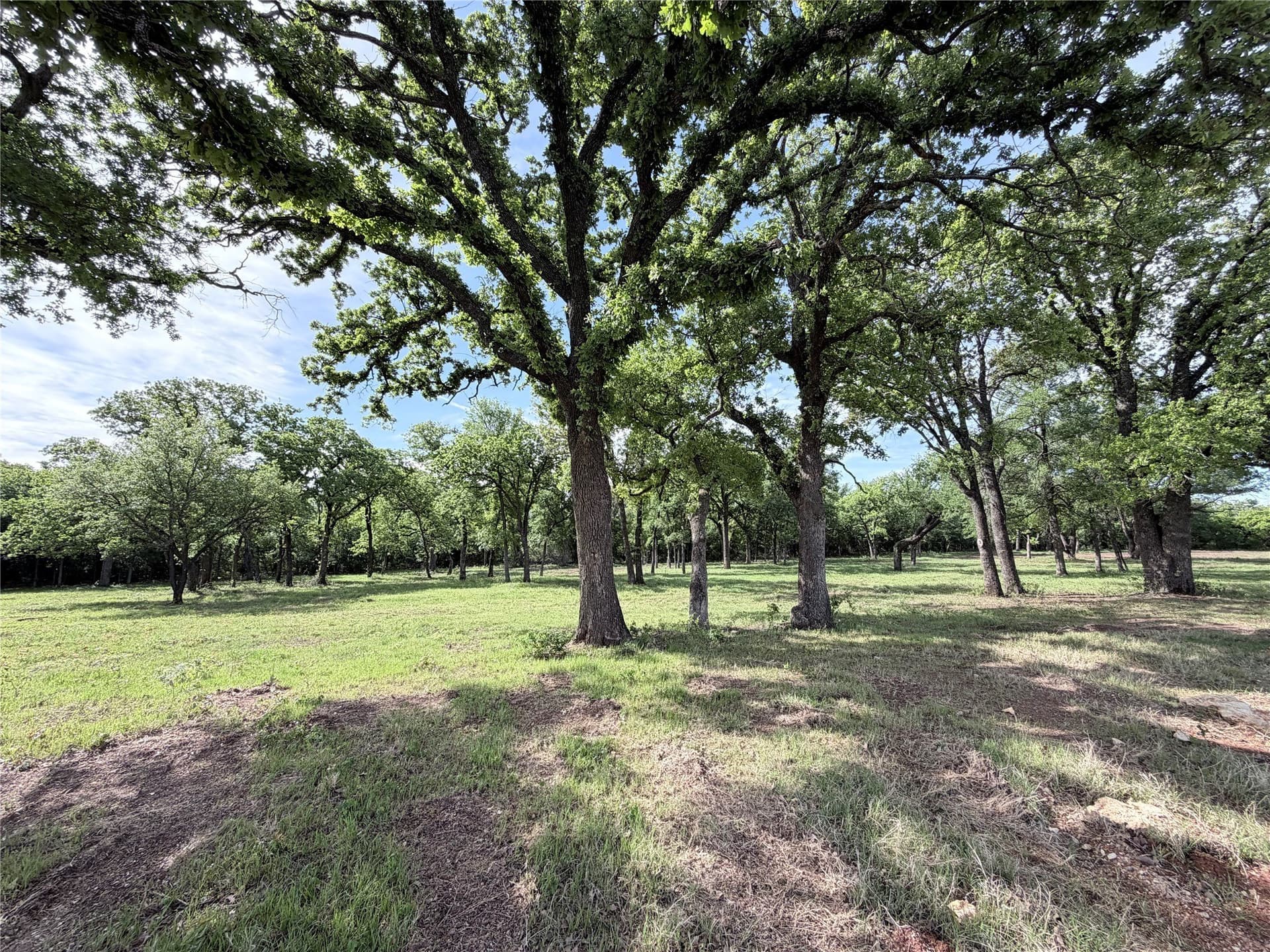 3.3 acres in Hill County gallery image 3