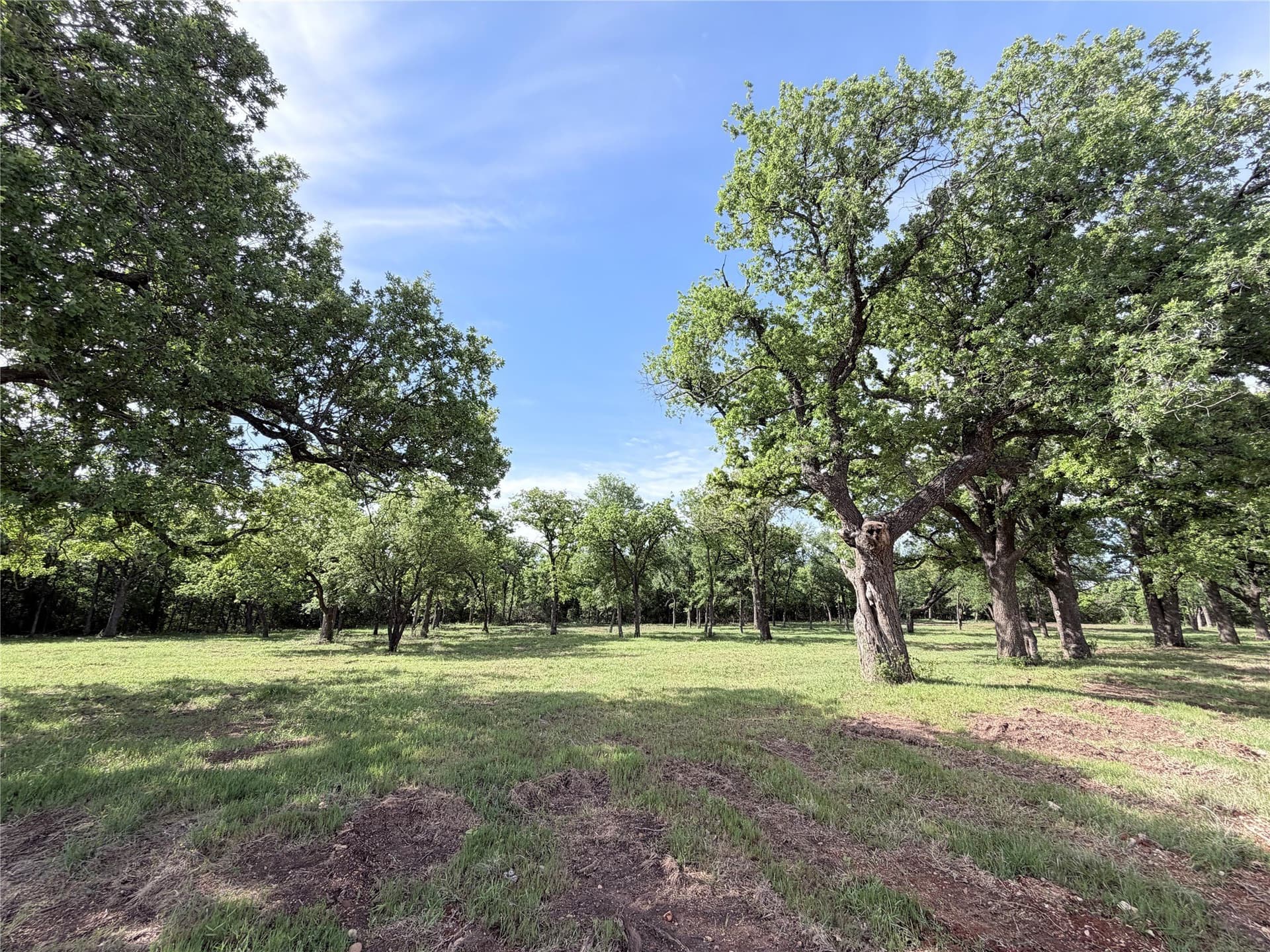 3.3 acres in Hill County gallery image 4