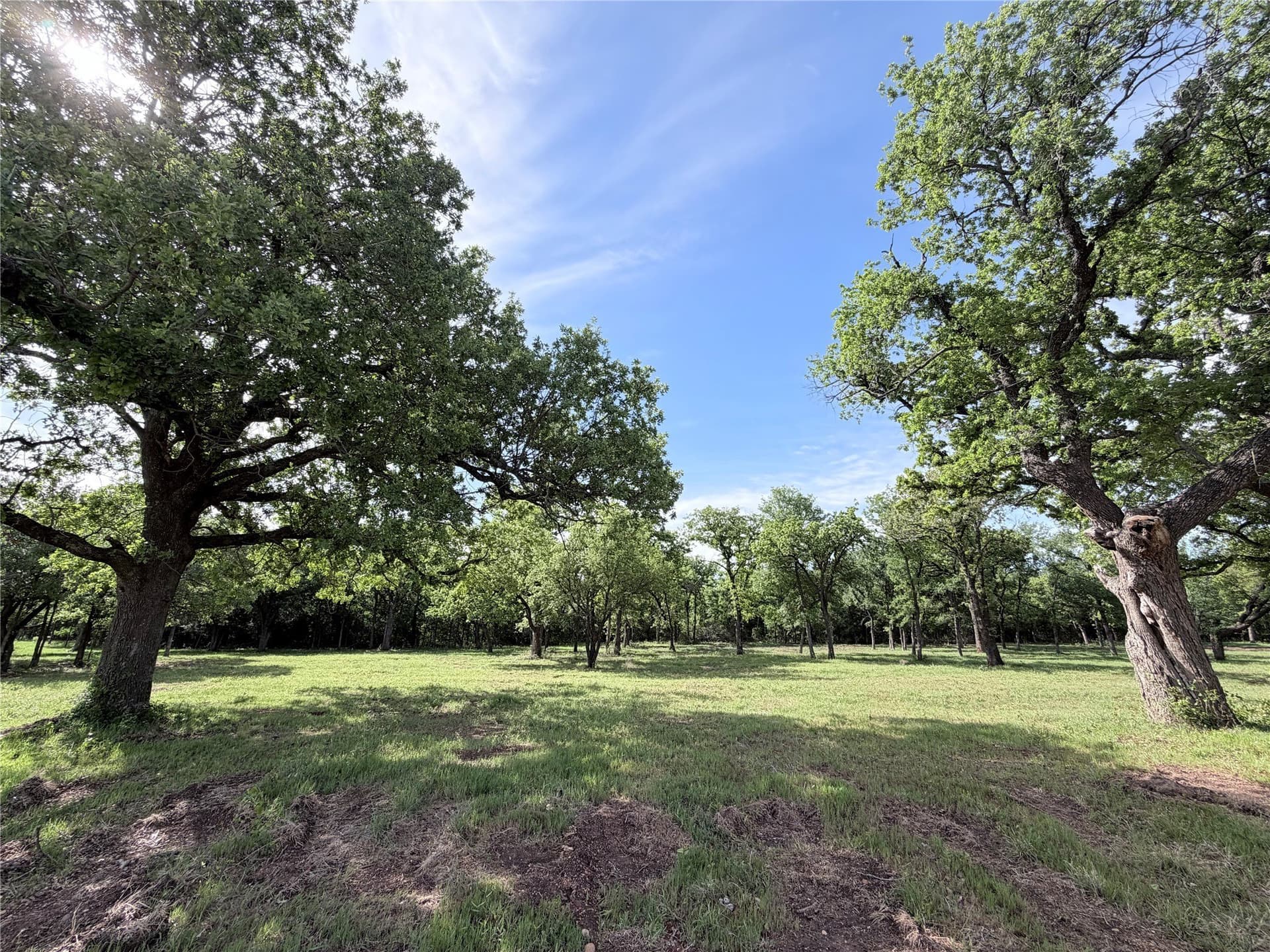 3.3 acres in Hill County gallery image 2