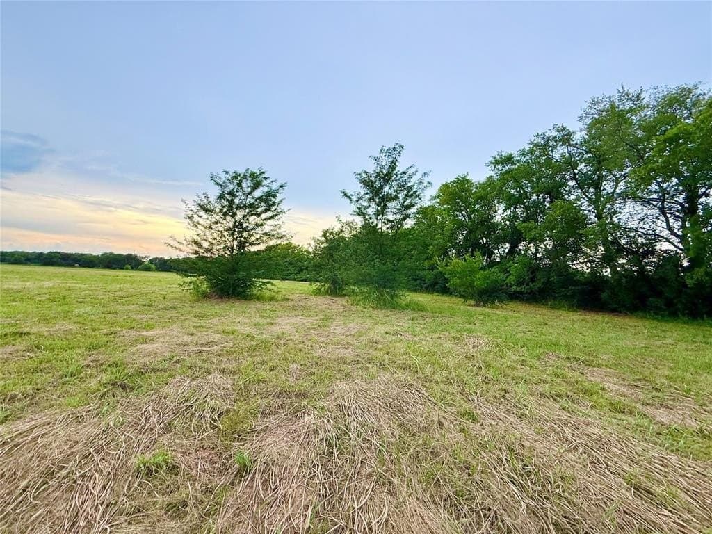 12.2 acres in Fannin County gallery image 4