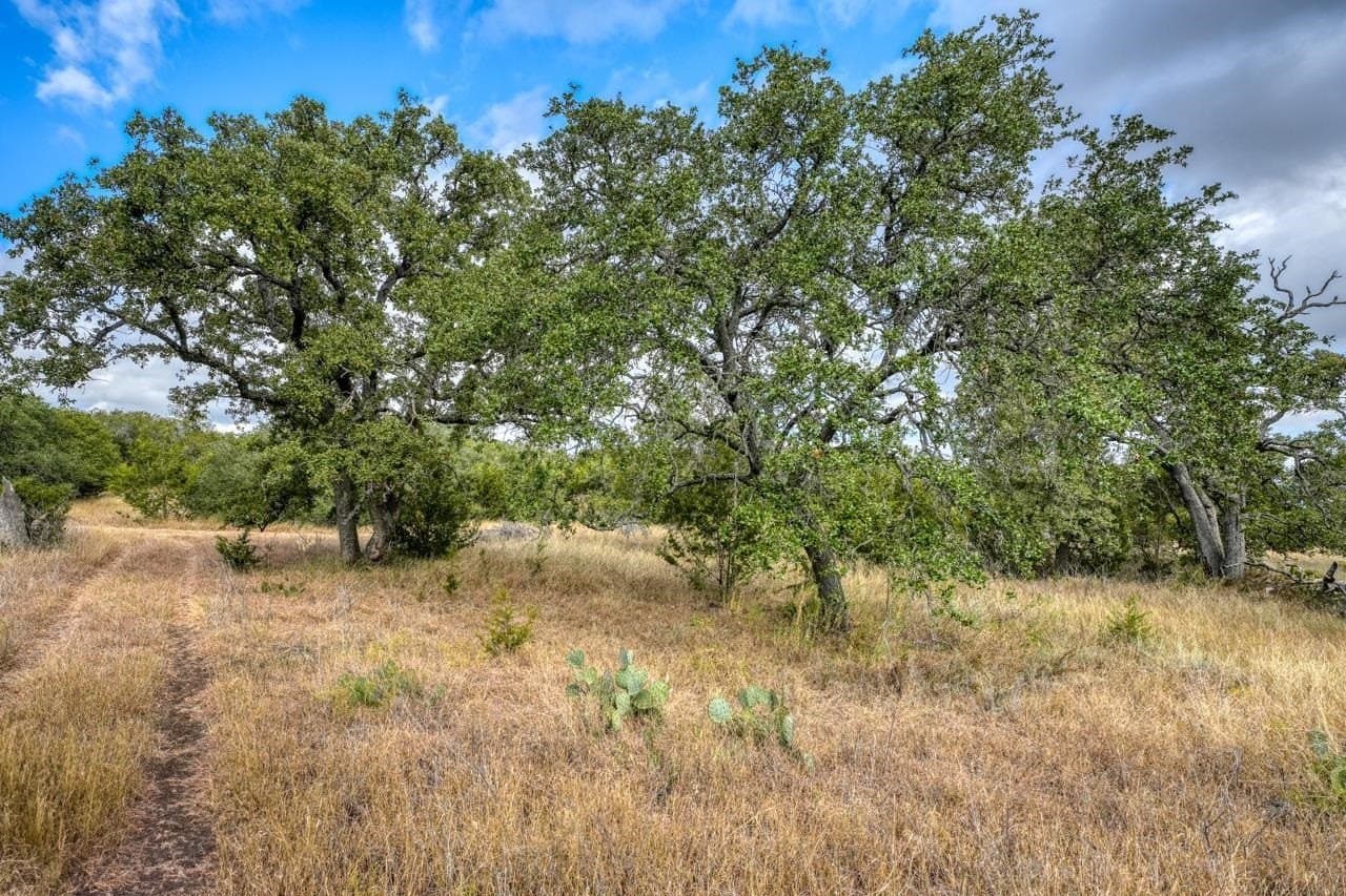 33 acres in Burnet County
