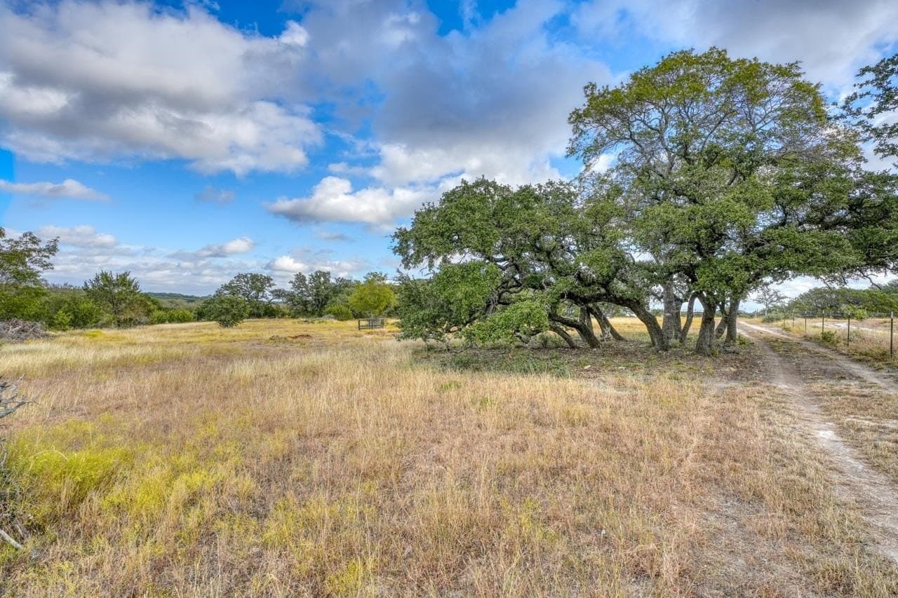 33 acres in Burnet County gallery image 4