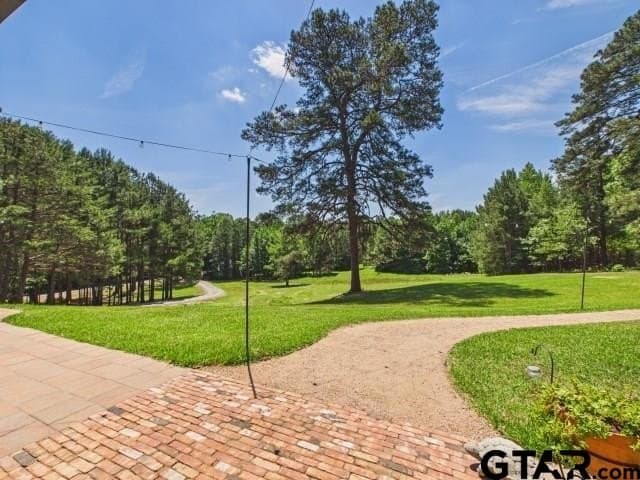10 acres in Henderson County - photo 34