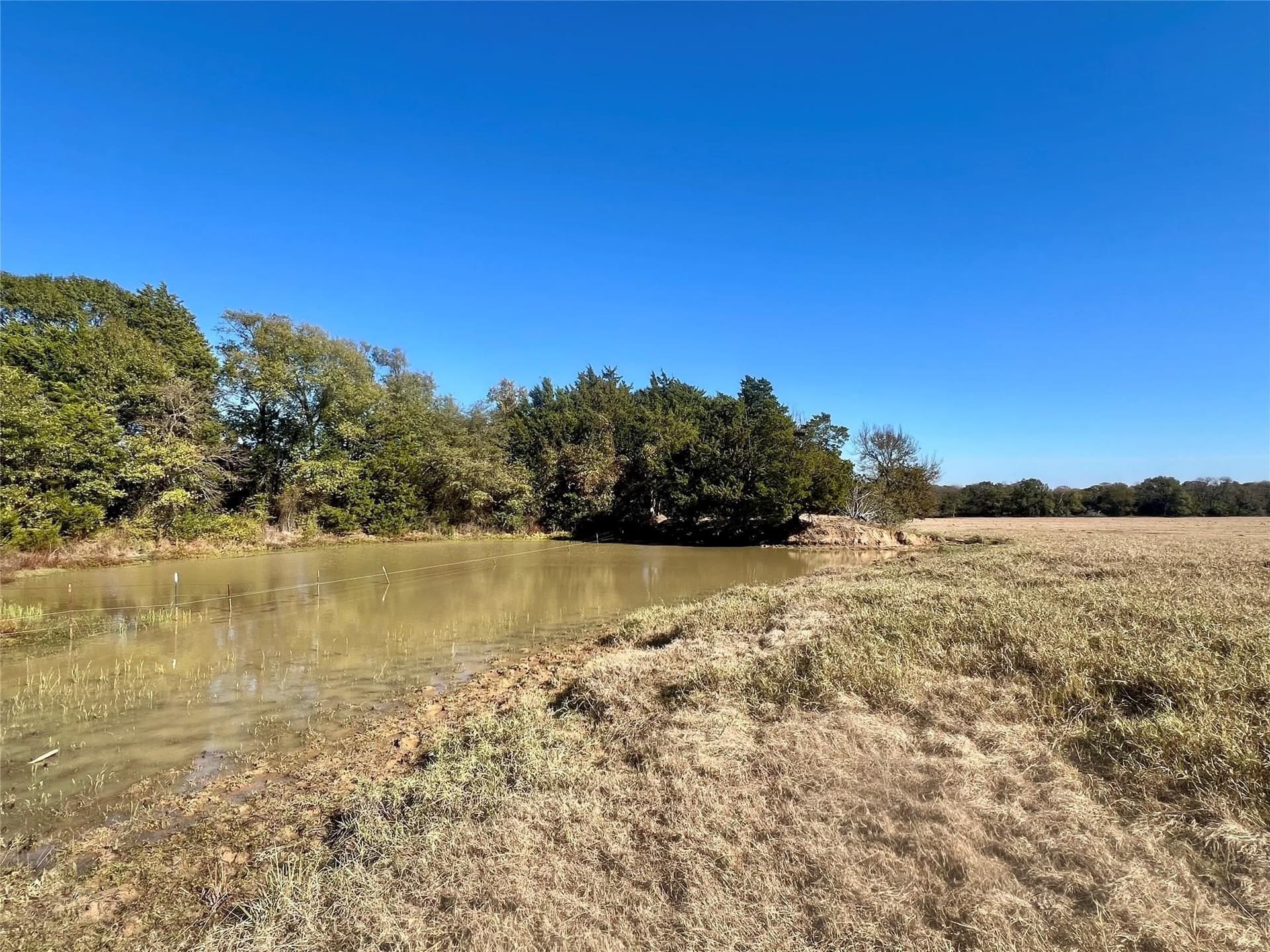 30.4 acres in Henderson County - photo 5