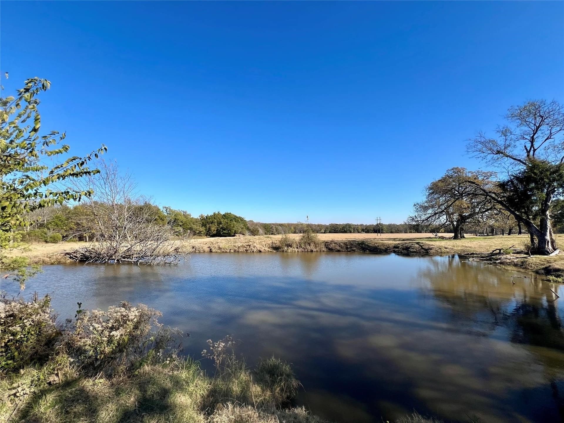 30.4 acres in Henderson County - photo 3