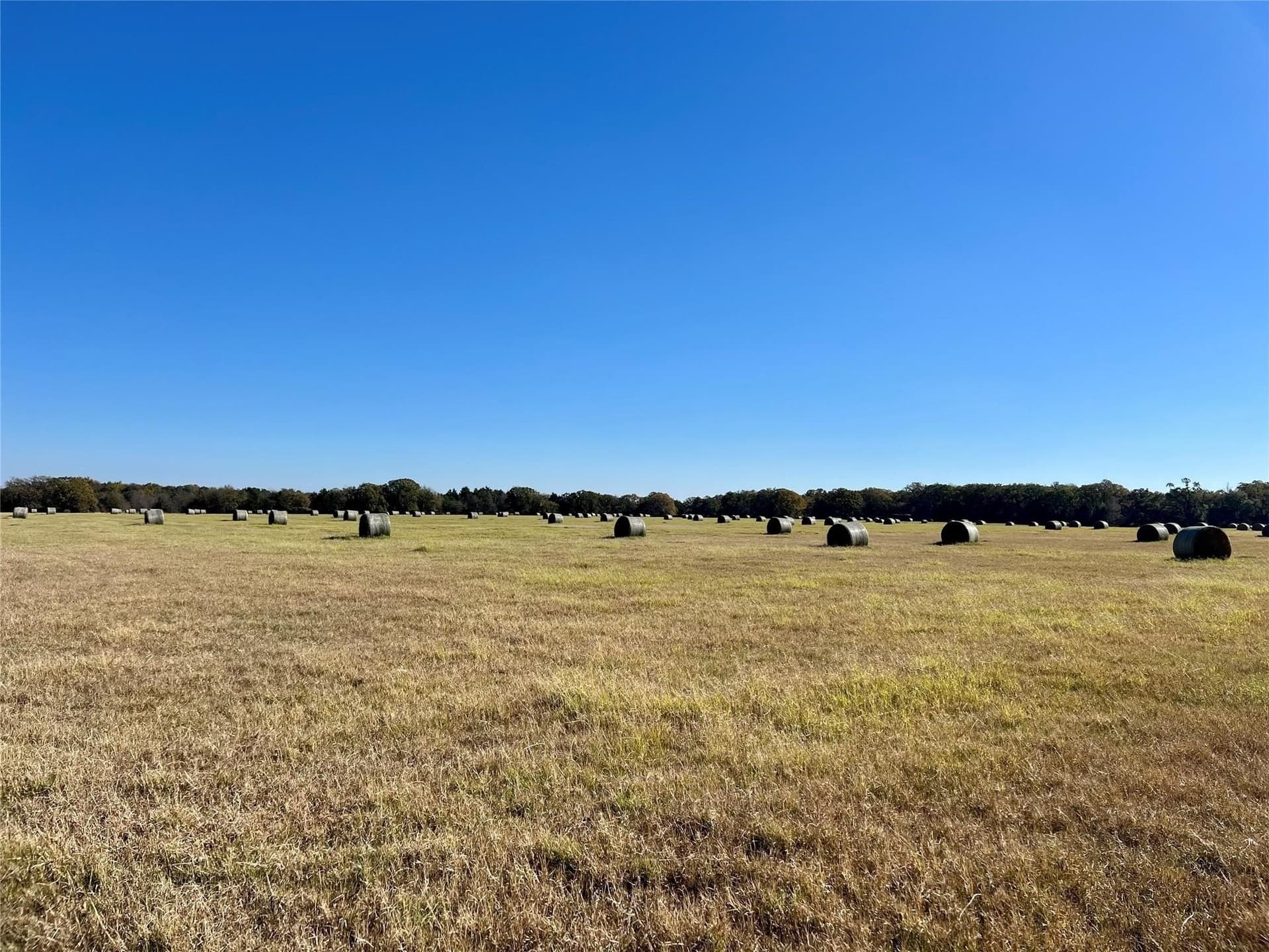 30.4 acres in Henderson County - photo 8