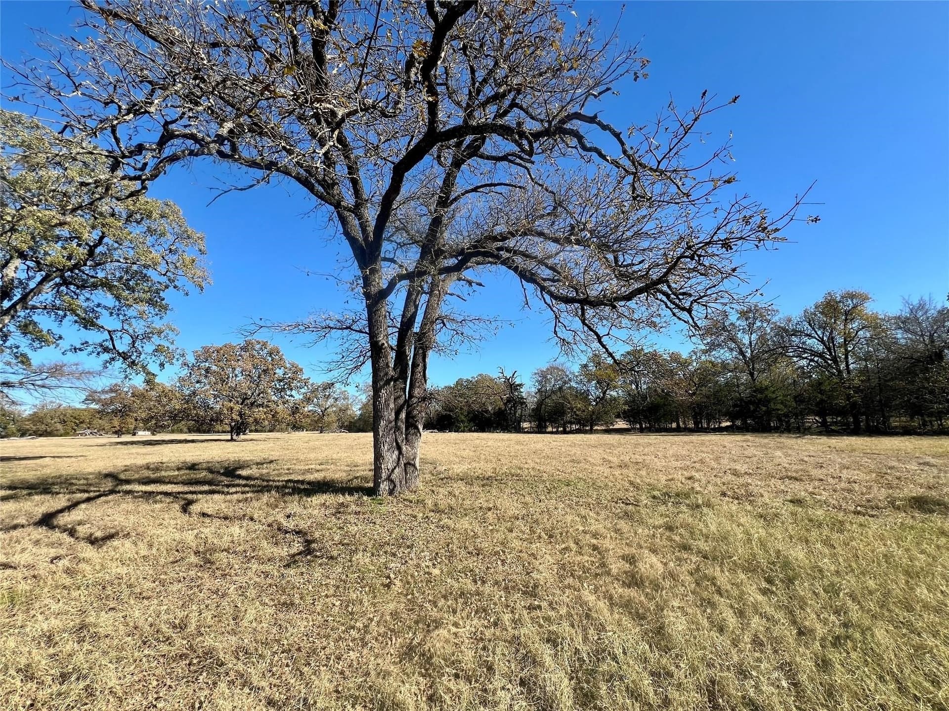 30.4 acres in Henderson County - photo 6