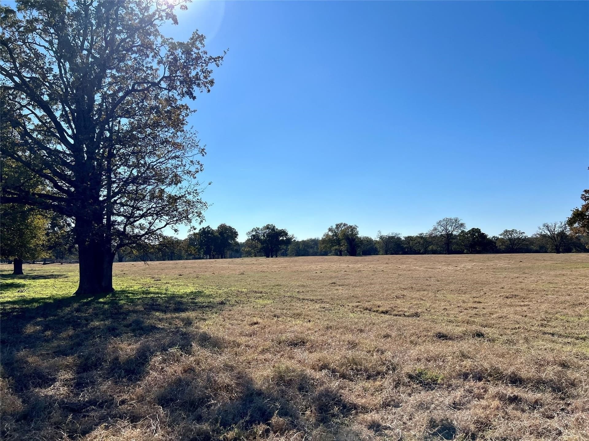 30.4 acres in Henderson County - photo 7