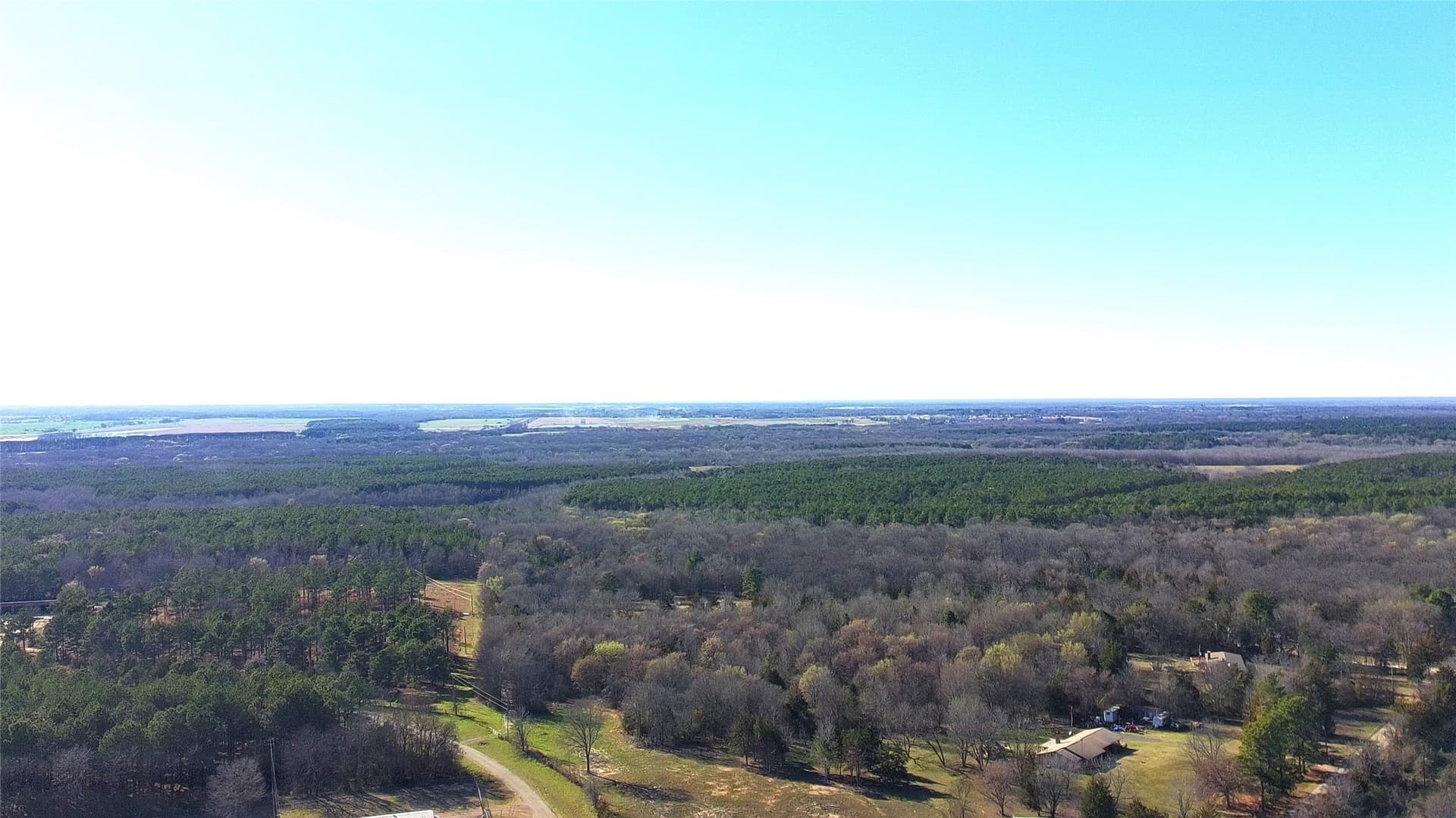 21.01 acres in Titus County - photo 24