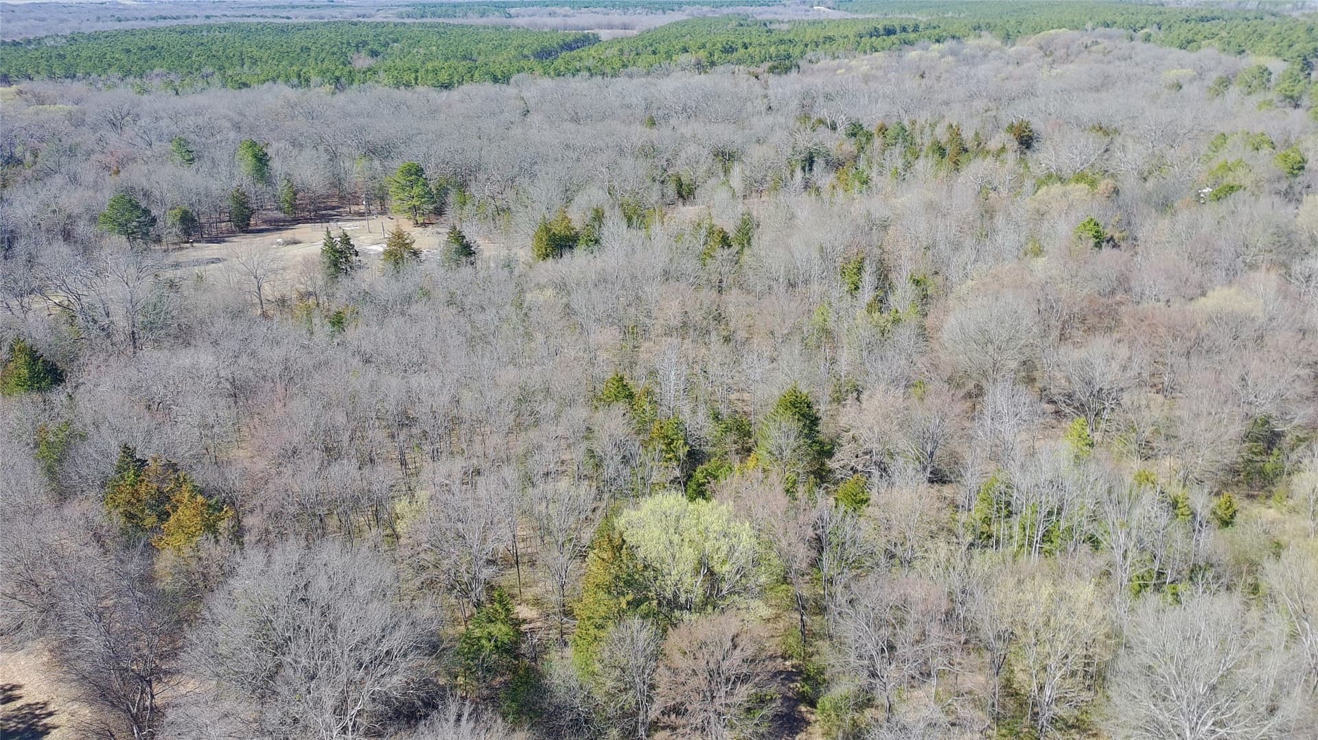 21.01 acres in Titus County - photo 7