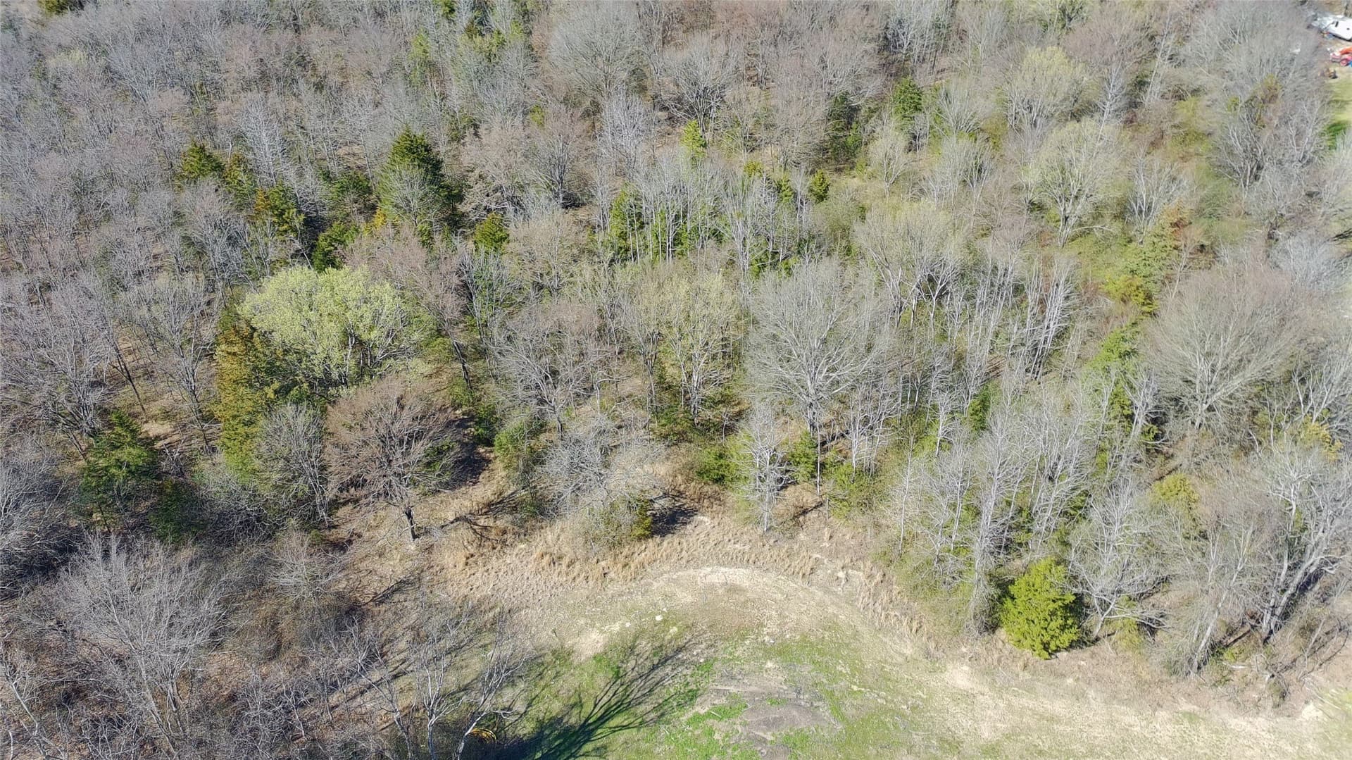 21.01 acres in Titus County - photo 6
