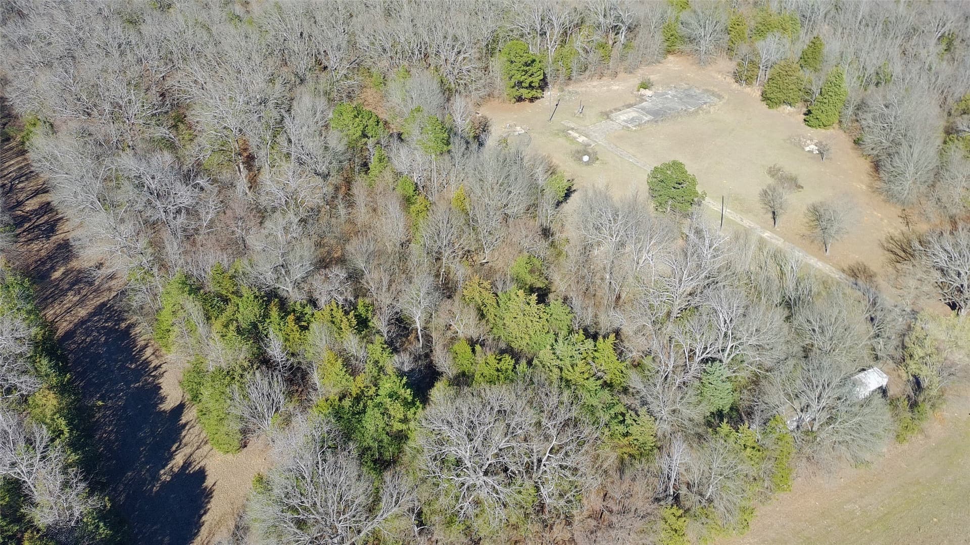21.01 acres in Titus County - photo 12