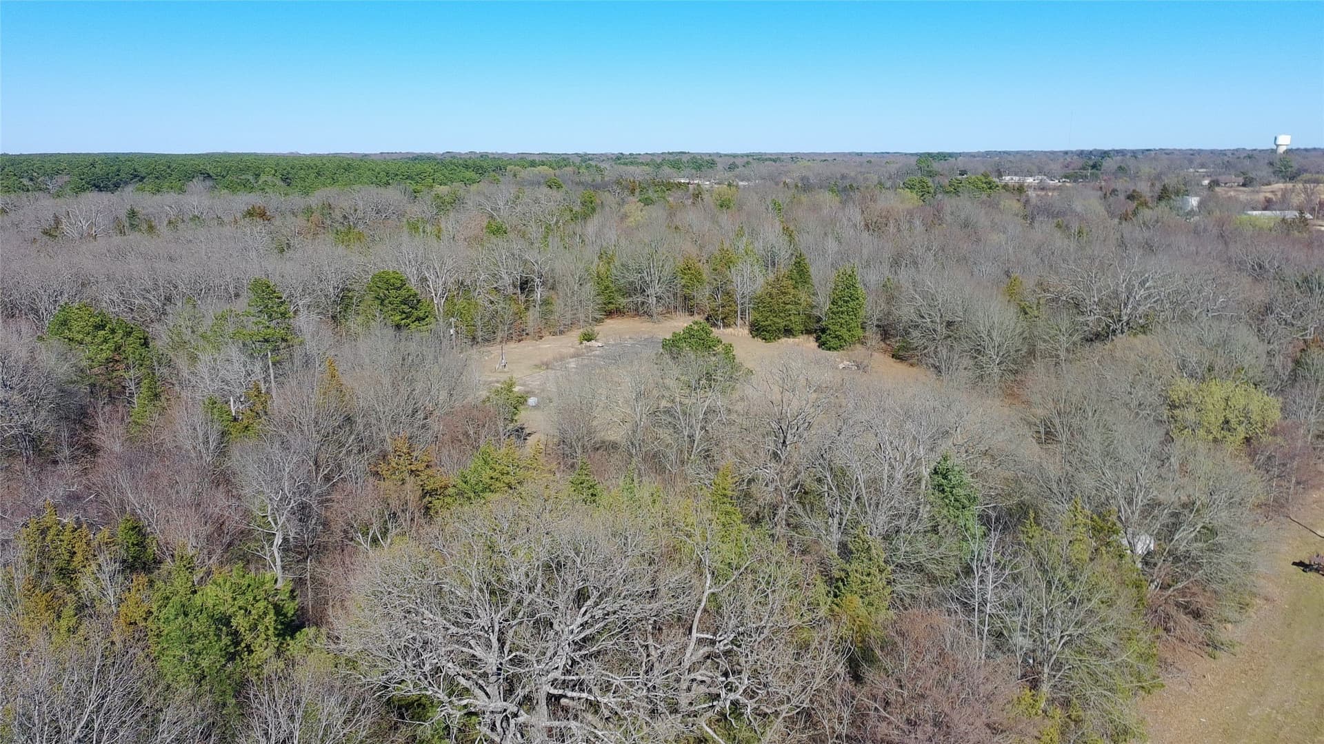 21.01 acres in Titus County - photo 19