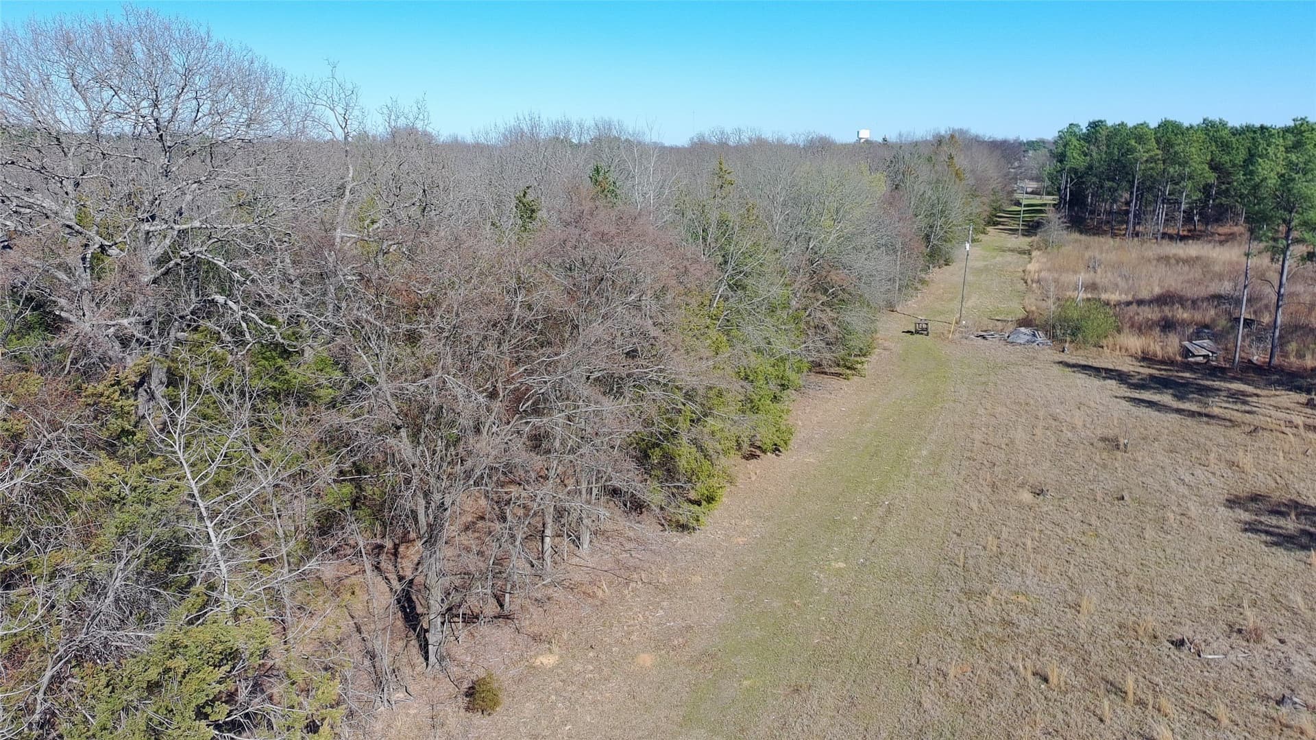 21.01 acres in Titus County - photo 18