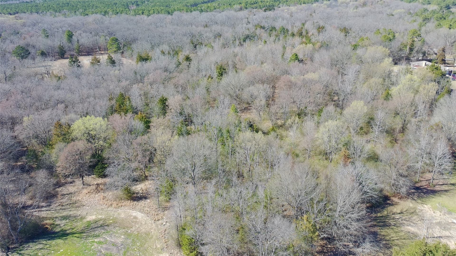 21.01 acres in Titus County - photo 4