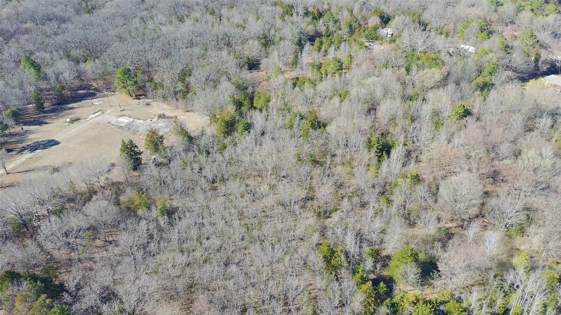 21.01 acres in Titus County - photo 20