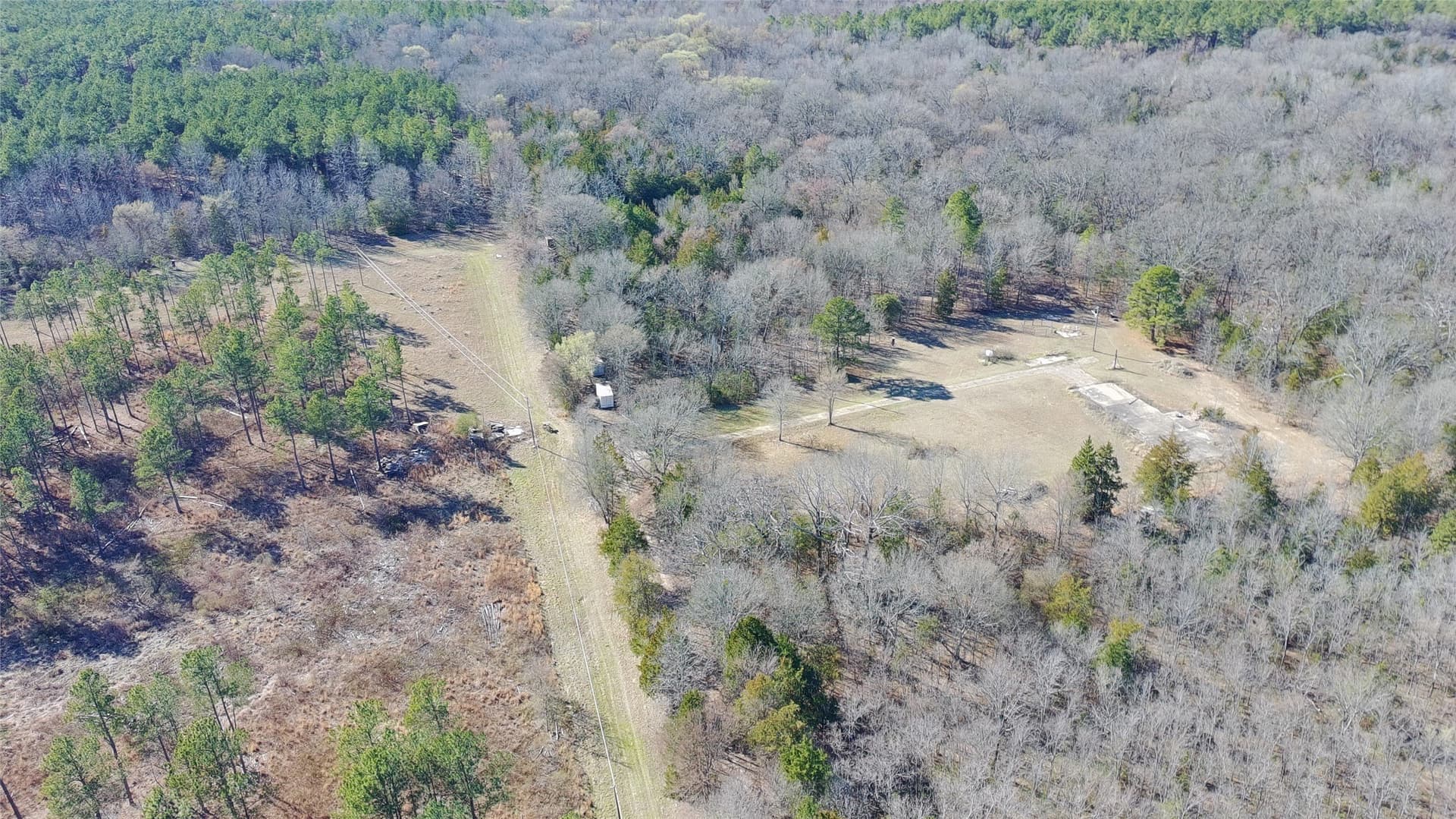 21.01 acres in Titus County - photo 22