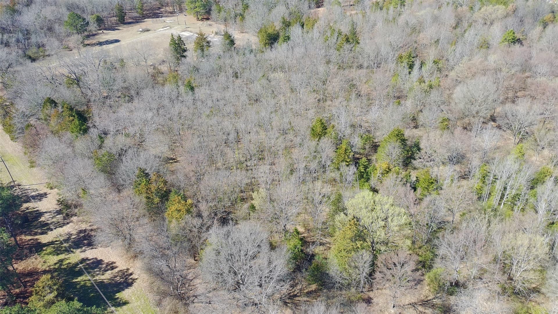 21.01 acres in Titus County - photo 8