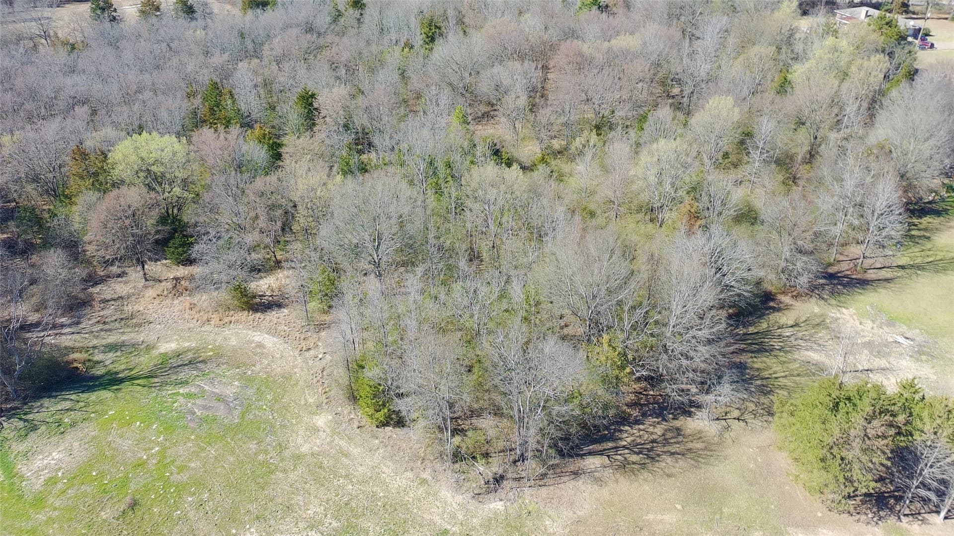 21.01 acres in Titus County - photo 3