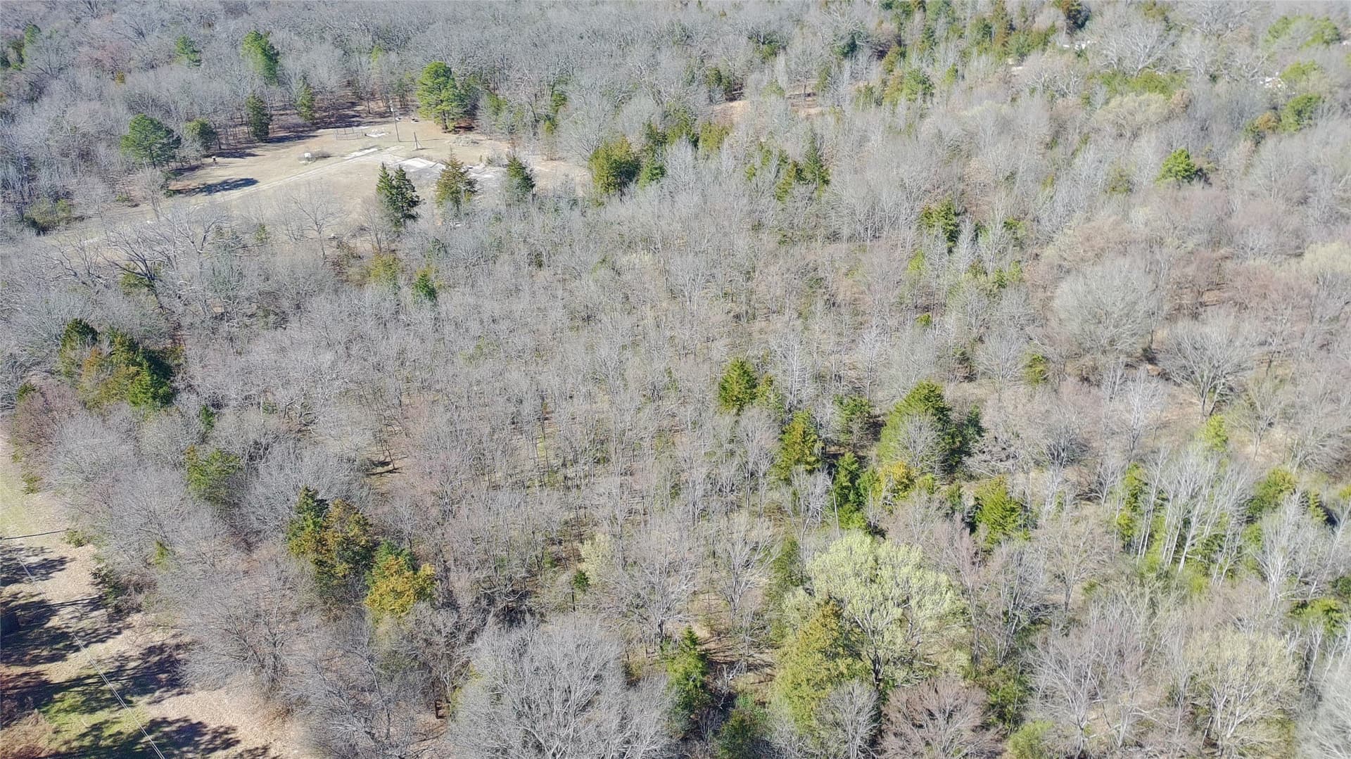 21.01 acres in Titus County - photo 10
