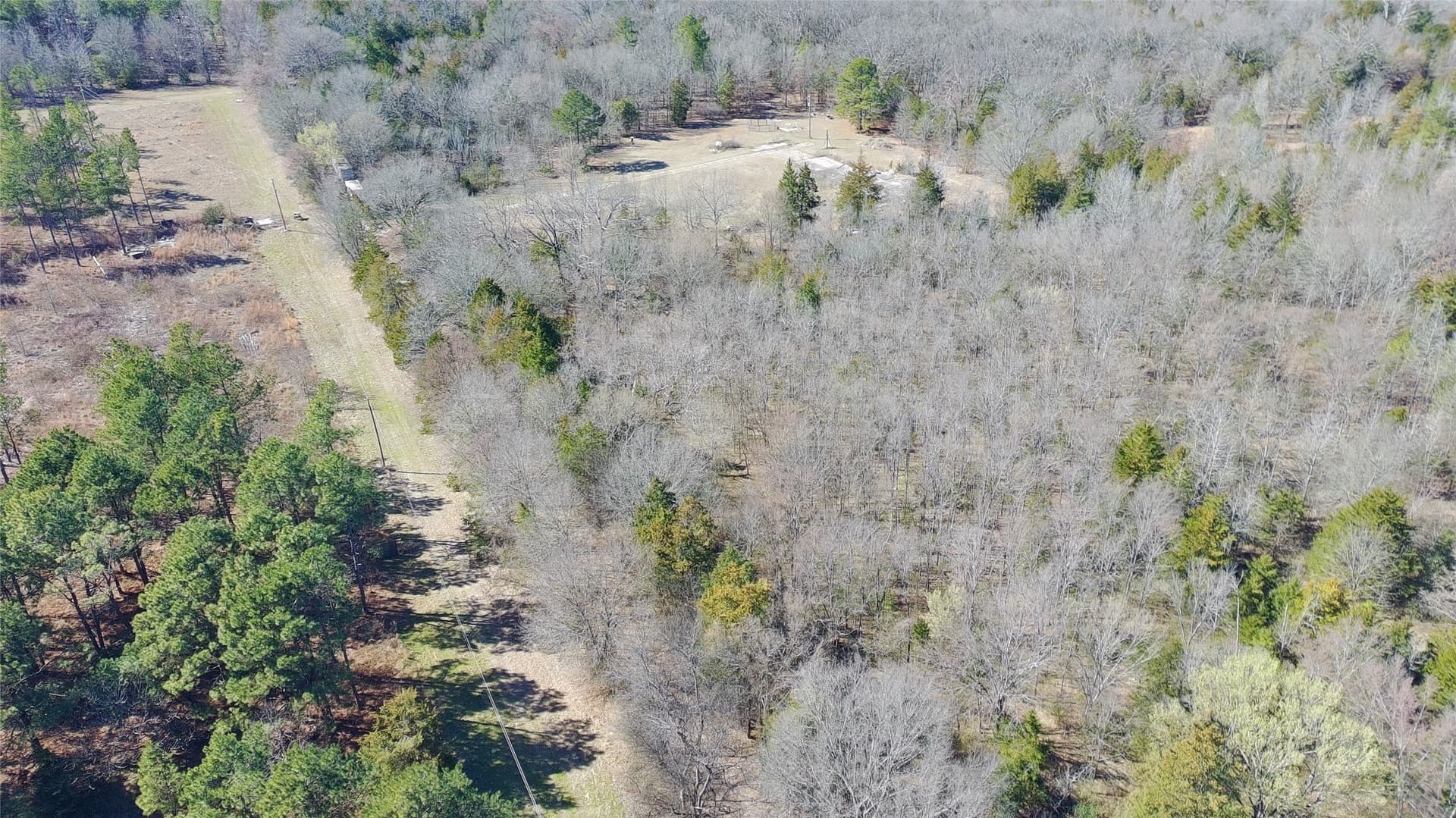 21.01 acres in Titus County - photo 9