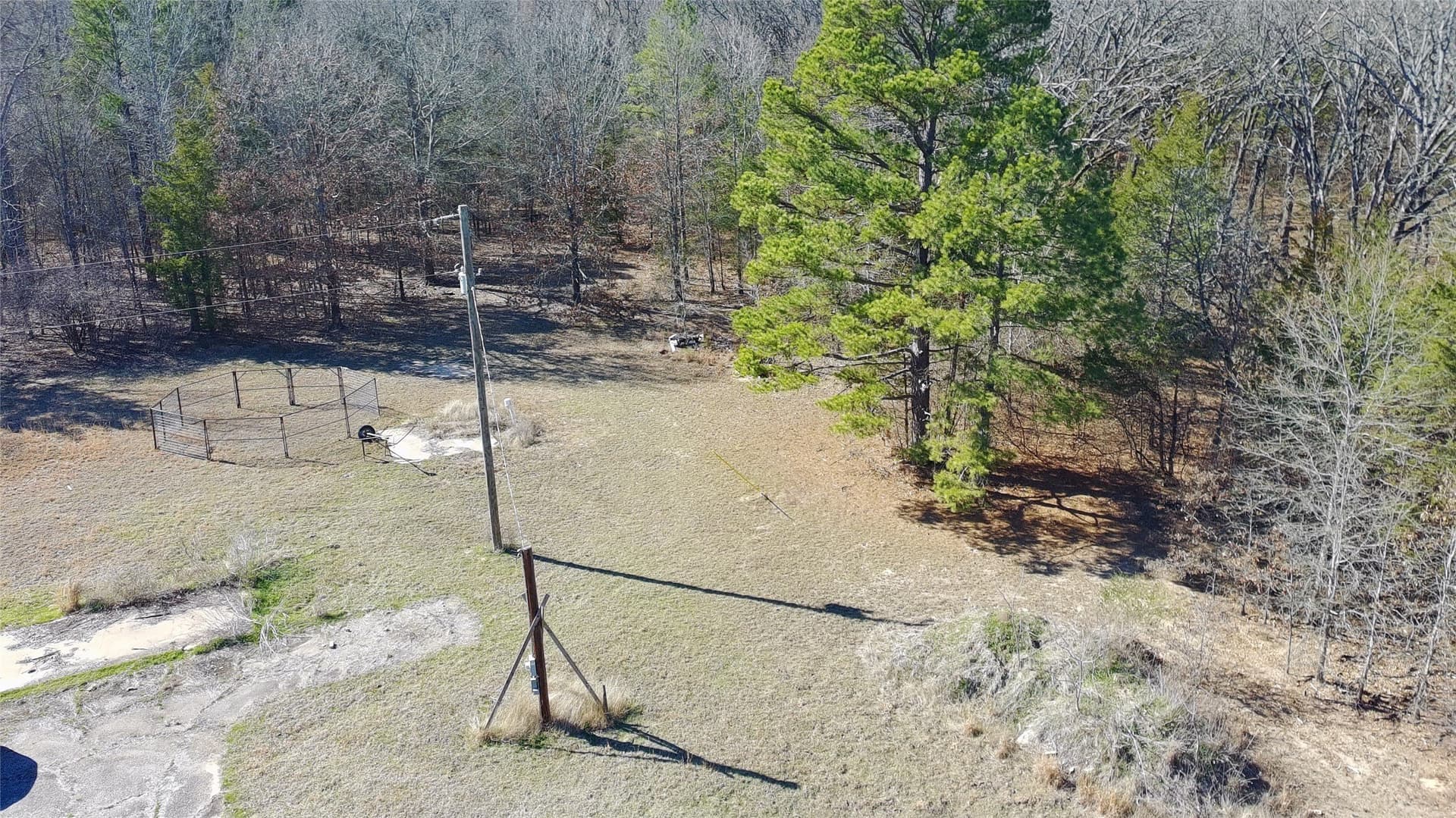 21.01 acres in Titus County - photo 11