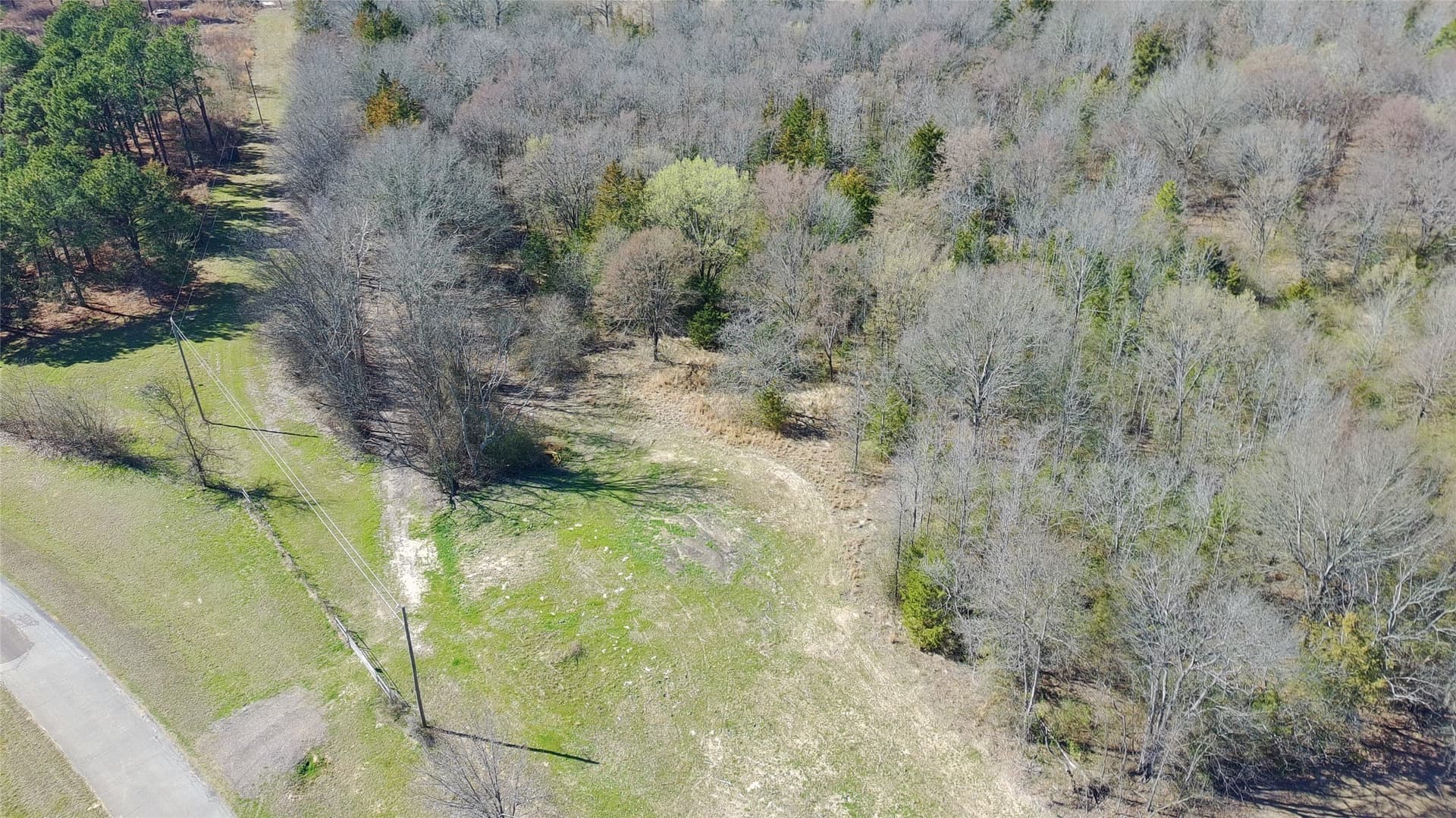 21.01 acres in Titus County - photo 2