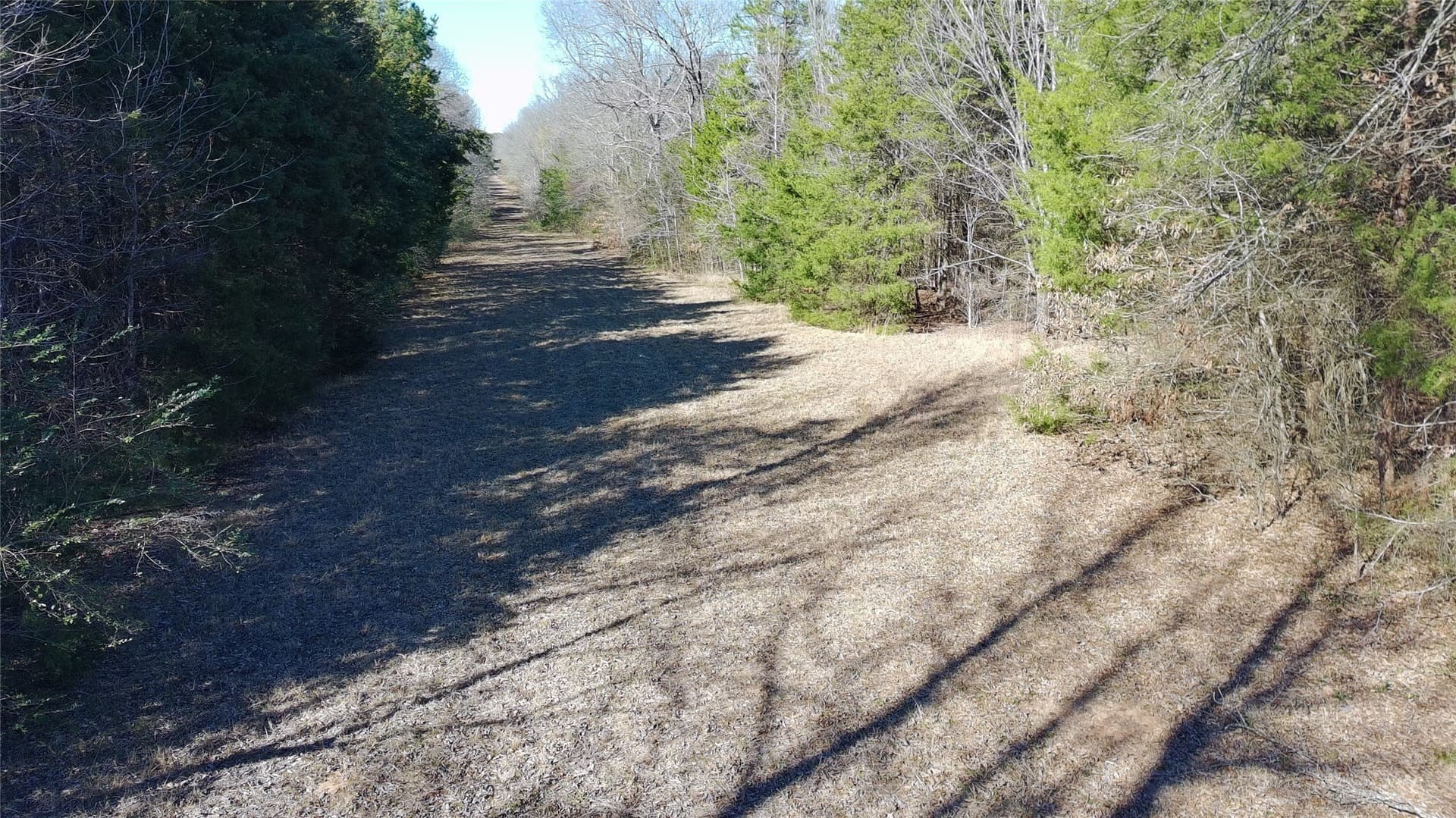 21.01 acres in Titus County - photo 17