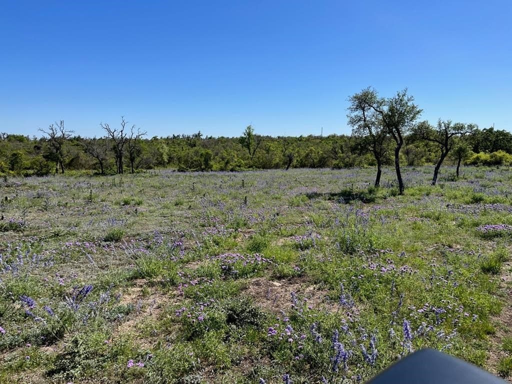 12.2 acres in Gillespie County - photo 7