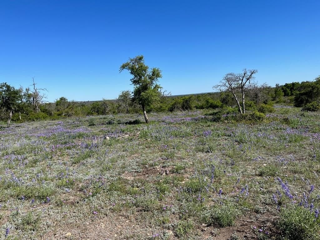 12.2 acres in Gillespie County - photo 8