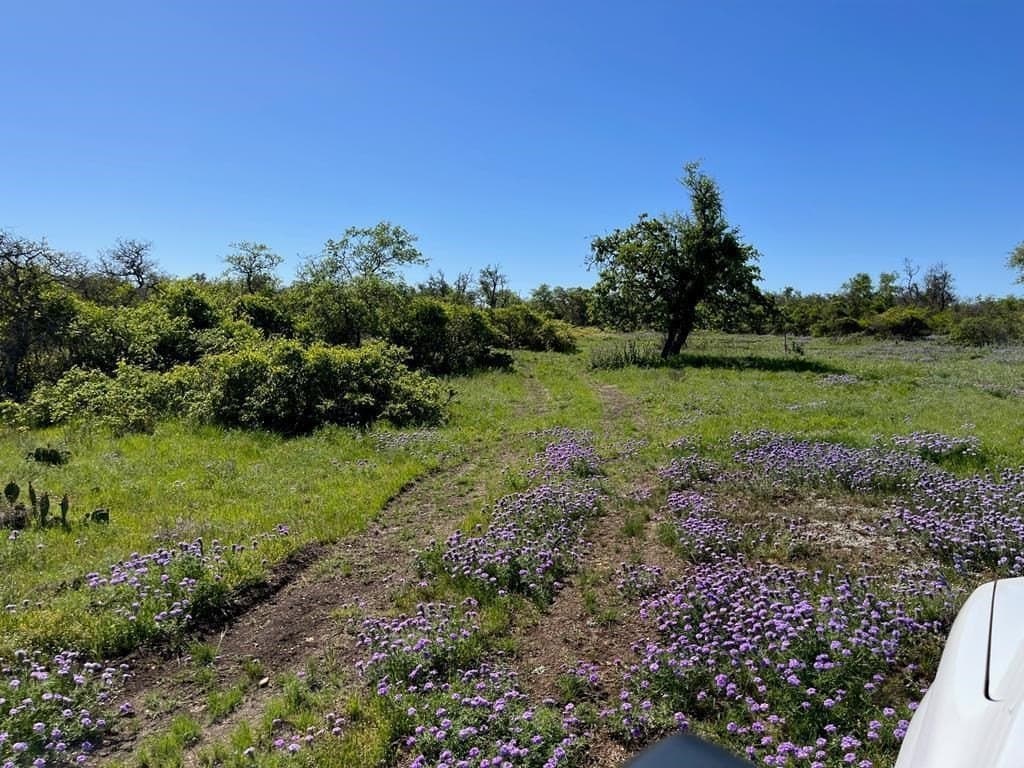 12.2 acres in Gillespie County - photo 2
