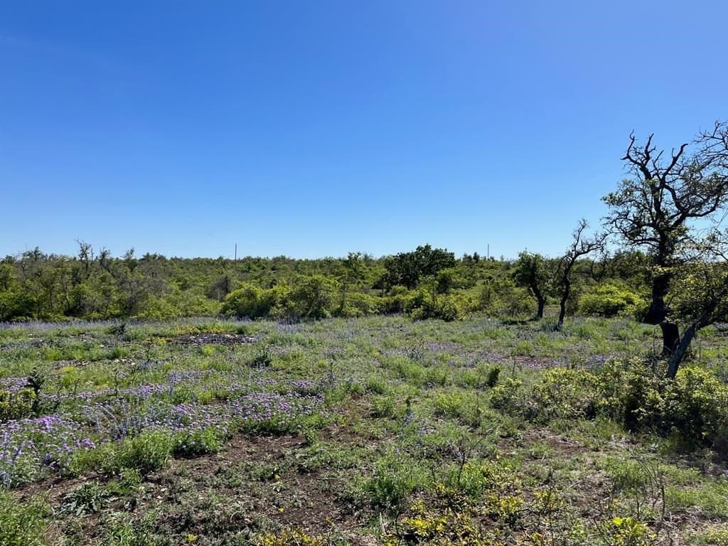 12.2 acres in Gillespie County - photo 6