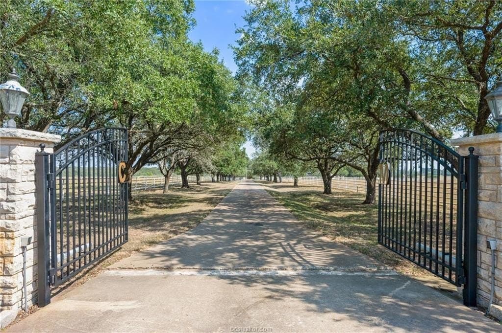 29.98 acres in Brazos County gallery image 2