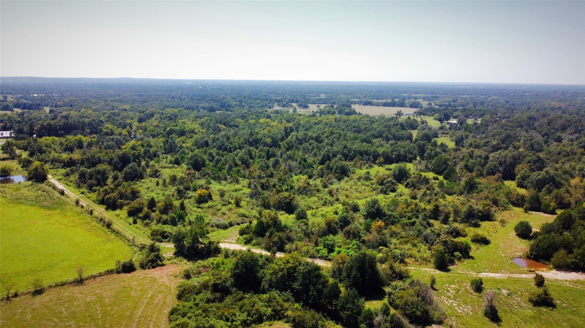 54.5 acres in Freestone County featured view