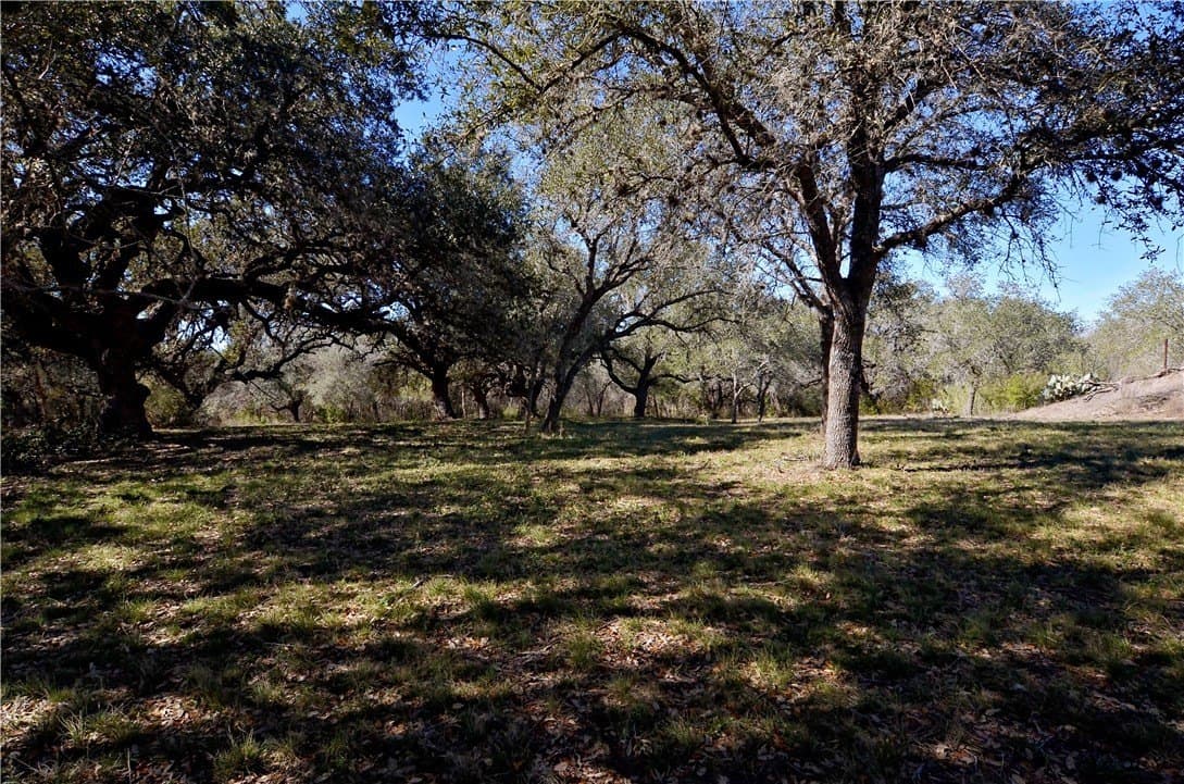 9.17 acres in Bee County - photo 17