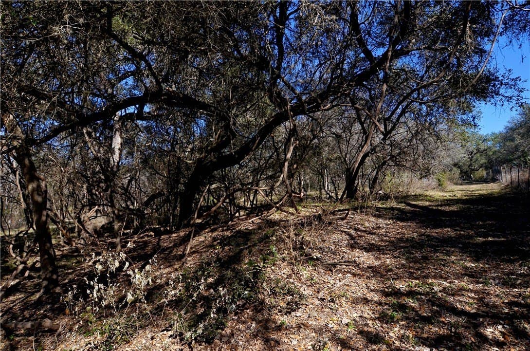 9.17 acres in Bee County - photo 14