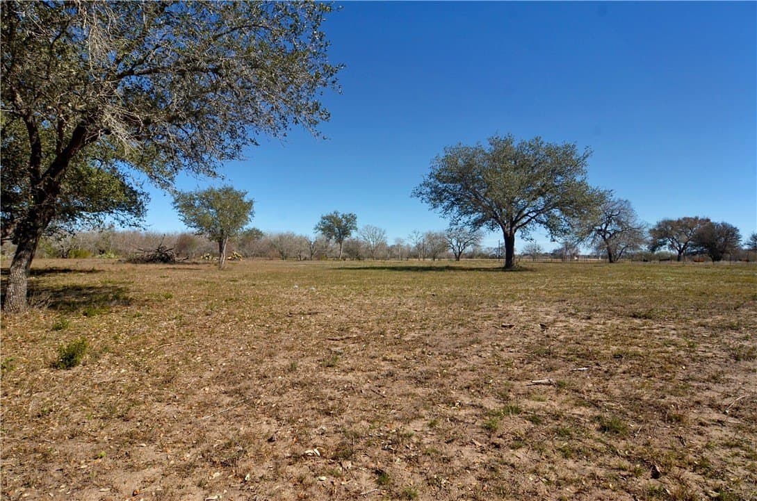9.17 acres in Bee County - photo 10
