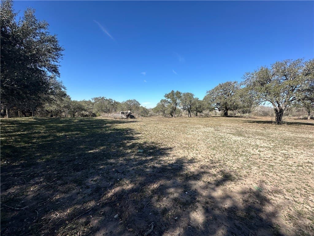 9.17 acres in Bee County gallery image 4