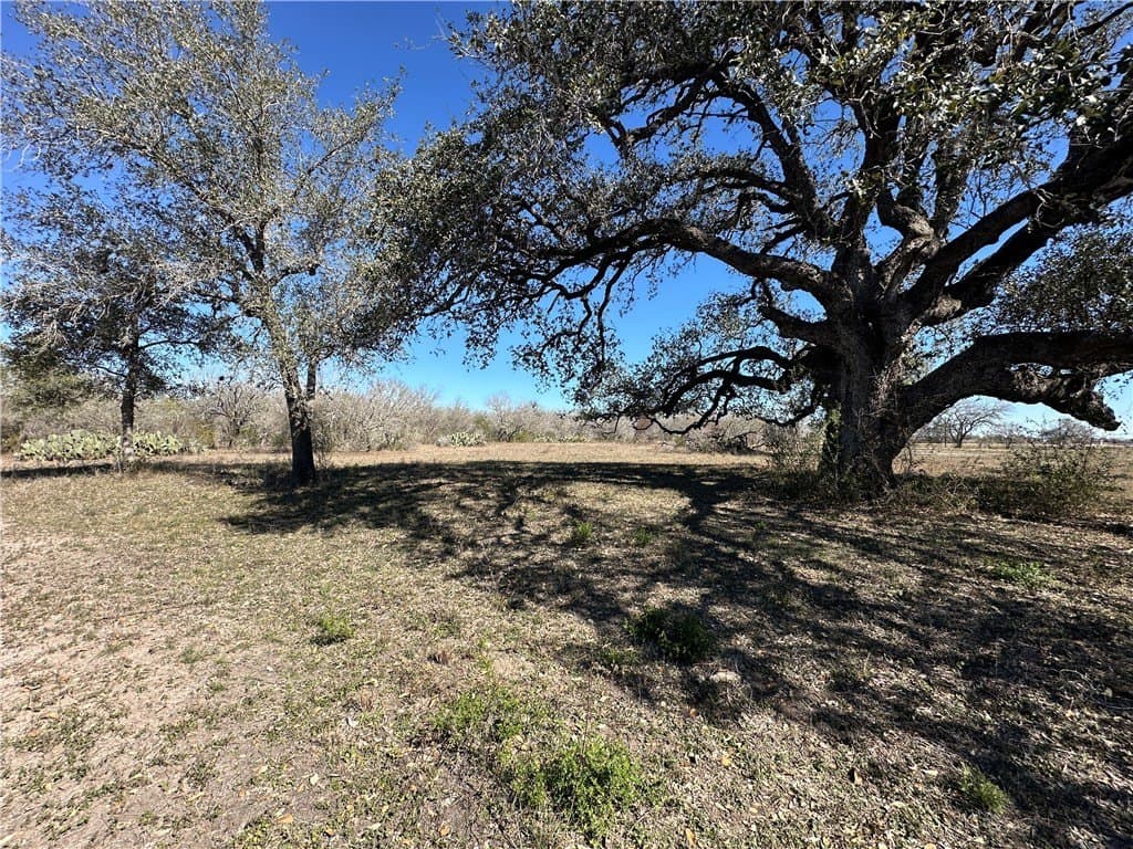 9.17 acres in Bee County gallery image 2
