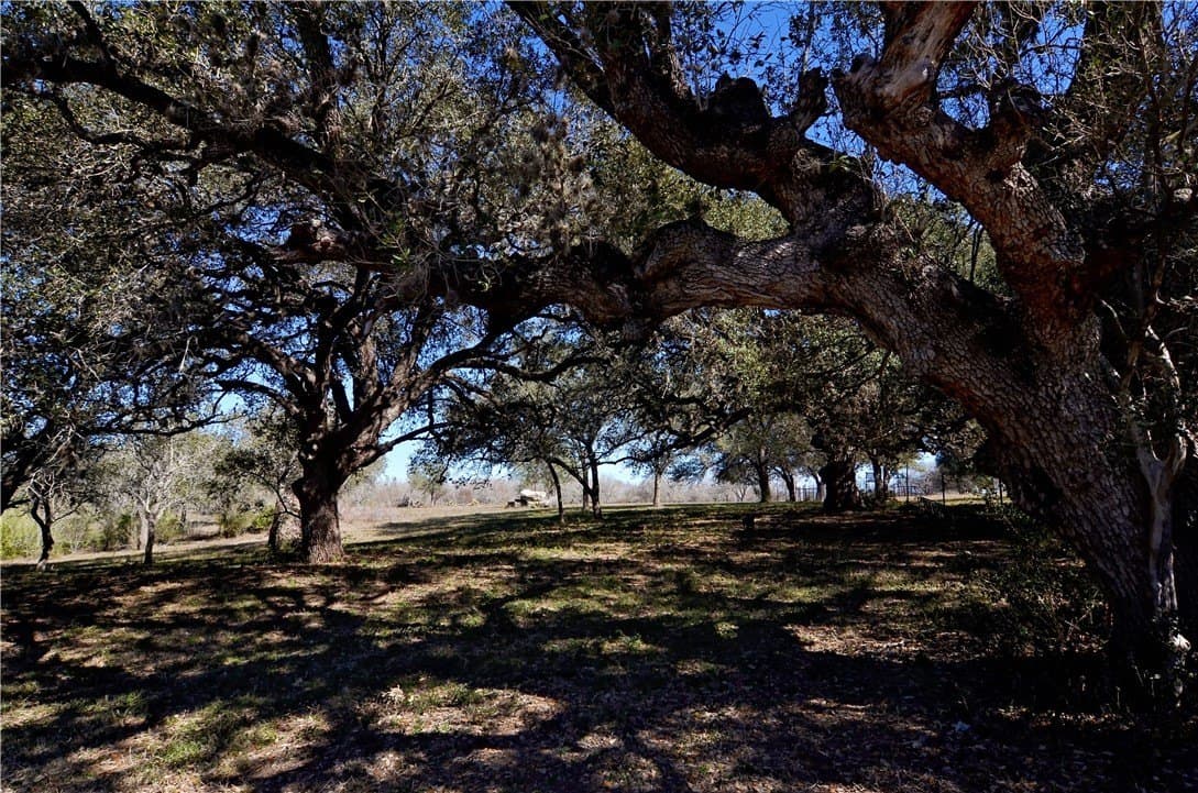 9.17 acres in Bee County - photo 15