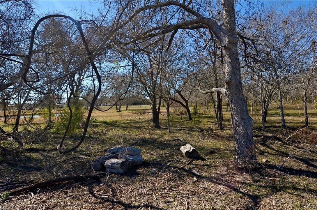 9.17 acres in Bee County - photo 6