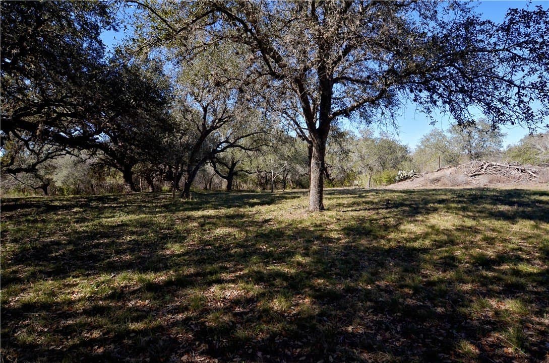 9.17 acres in Bee County - photo 16