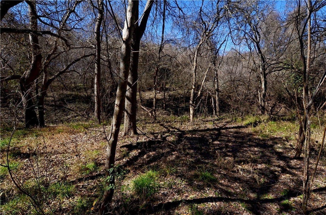 9.17 acres in Bee County - photo 11