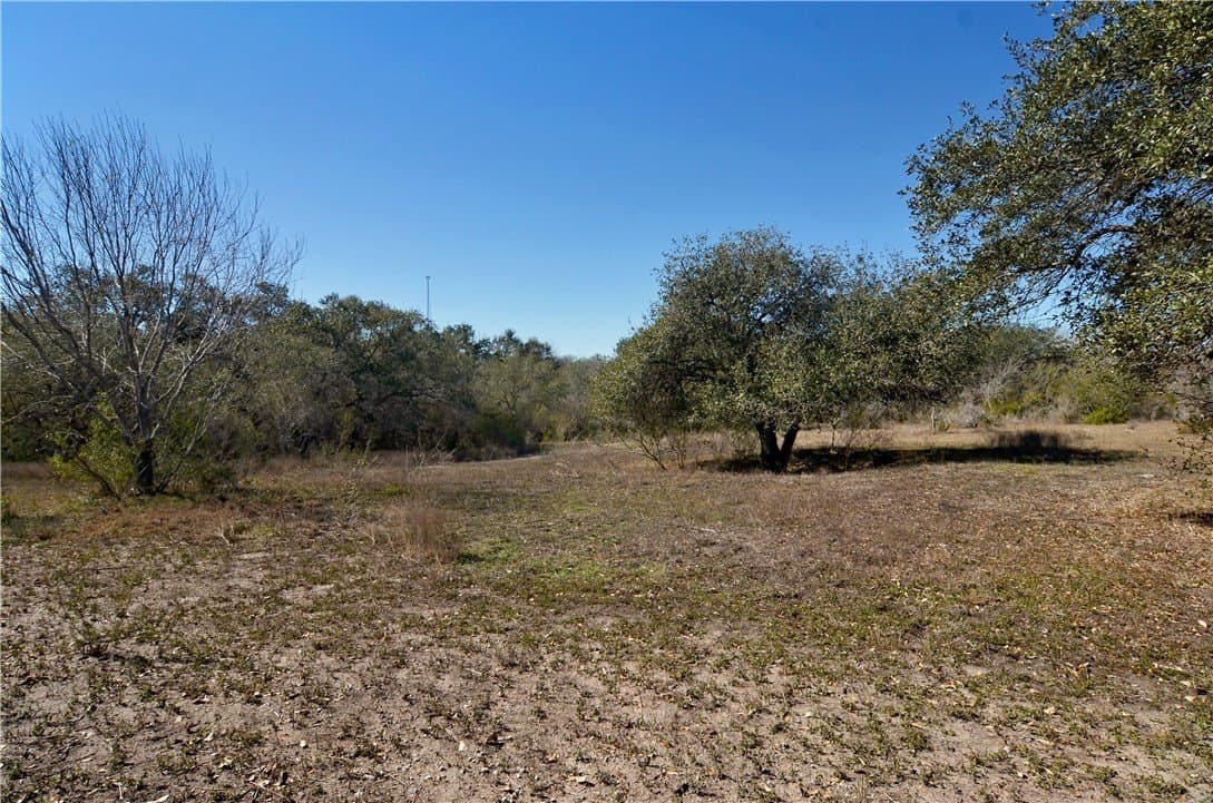 9.17 acres in Bee County - photo 9