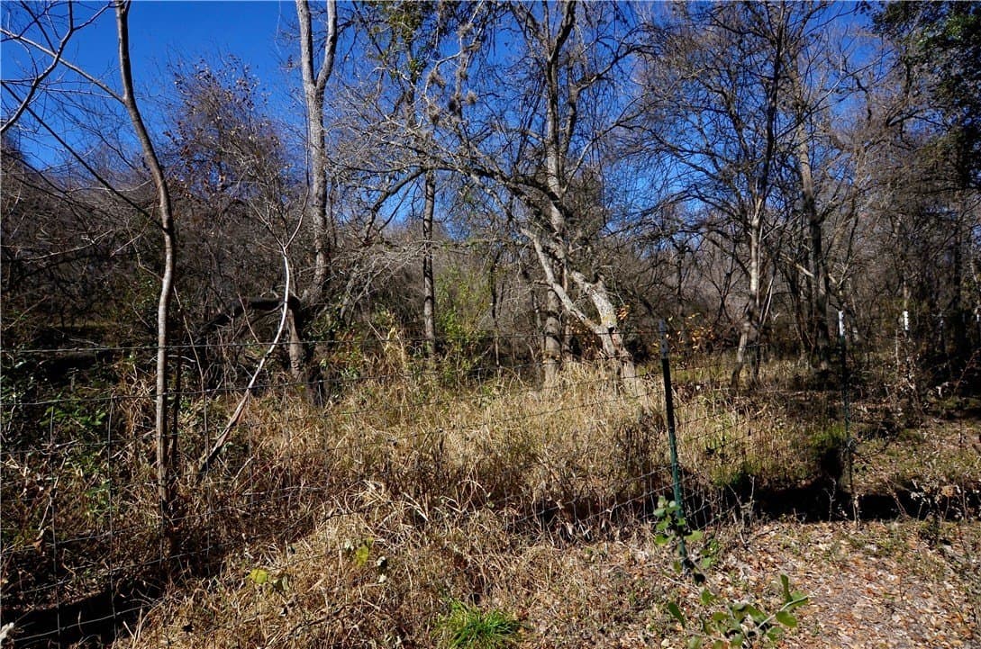 9.17 acres in Bee County - photo 12