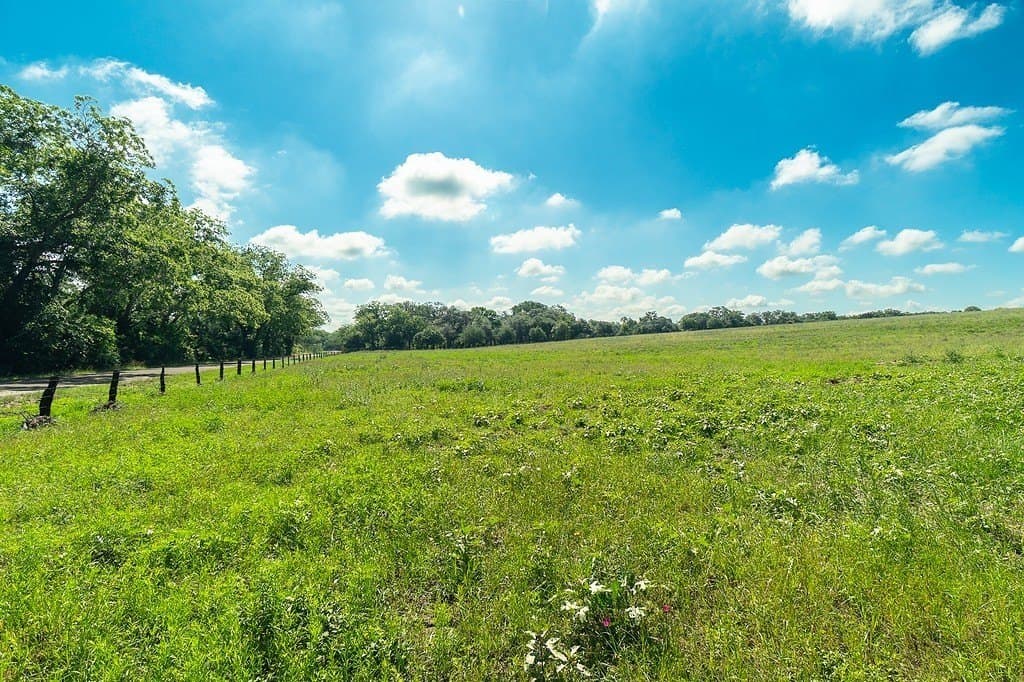 265.39 acres in Fayette County - photo 17