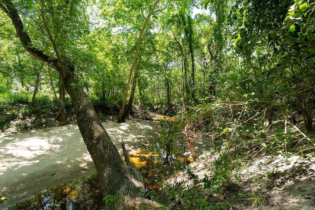 265.39 acres in Fayette County - photo 27