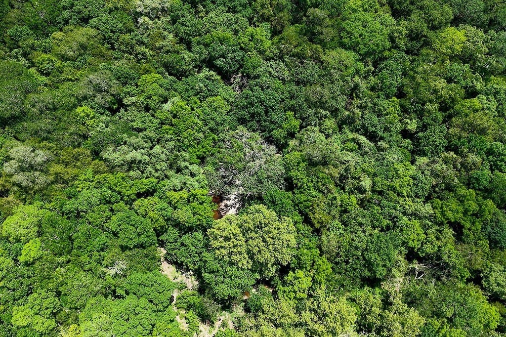 265.39 acres in Fayette County - photo 26